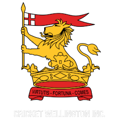 Cricket Wellington logo